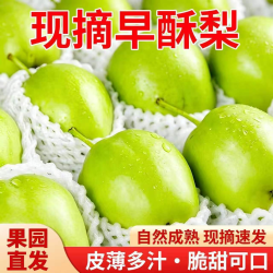 京农超甘肃早酥梨新鲜水果当季脆梨时令整箱净重4.5斤单果200g+ 12.9元 - 线报酷