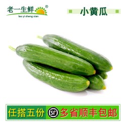 老一生鲜新鲜小黄瓜500g荷兰小黄瓜迷你黄瓜小黄瓜水果黄瓜 11.9元 - 折送网