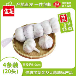 佳农宝菜紫白皮干蒜金乡红皮蒜5头/条单果约5.0cm4条装 9.9元 - 线报酷