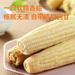 蔬果恋仁糯玉米甜糯玉米5斤开袋即食 9.90元 - 86线报
