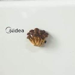 赋闲云南菌菇冰箱贴磁吸装饰贴香菇家居装饰品立体模型磁贴蘑菇冰箱贴真姬菇-磁吸冰箱贴 14.99元 - 线报酷 赋闲云南菌菇冰箱贴磁吸装饰贴香菇家居装饰品立体模型磁贴蘑菇冰箱贴真姬菇-磁吸冰箱贴 14.99元 - 线报酷