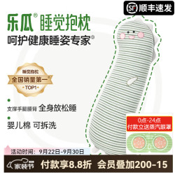 乐瓜大号恐龙80*24*16cm长条抱枕 226.08元 - 86线报
