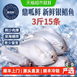 鼎呱鲜银鲳鱼500g*3袋 31.69元 - 86线报