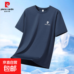 皮尔卡丹夏季男士短袖t恤宽松大码半袖薄款透气吸汗运动体恤藏青色XL 17.90元 - 86线报