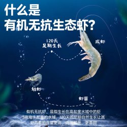 卖鱼七郎有机无抗鲜冻虾盐田虾1000g 62.81元 - 86线报
