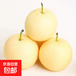 皇冠梨河北产地直发4.5斤脆甜多汁新鲜水果 11.9元 - 86线报