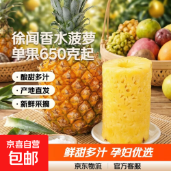 京喜广东徐闻香水菠萝4.5-5斤单果650g起 15.99元 - 86线报