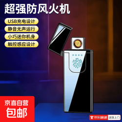电子打火机点烟器防风家用车载打火机潮流生活好物黑色-静音无声运行 3.9元 - 折送网
