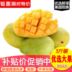 玖原农珍海南青皮金煌芒现摘优选大芒果新鲜水果4.5斤-5斤现摘果5斤含箱 10.79元 - 清风线报