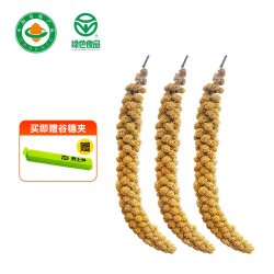湃小谷天然有机大谷穗鹦鹉训练奖励零食鹦鹉鸟粮食黄谷子虎皮饲料 9.9元 - 86线报