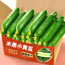 甜果乐河南水果黄瓜1斤 5.8元 - 86线报