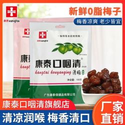 康泰清梅子口咽清薄荷清凉梅润喉护嗓子休闲零食果干蜜饯果脯100g 3.93元 - 线报酷