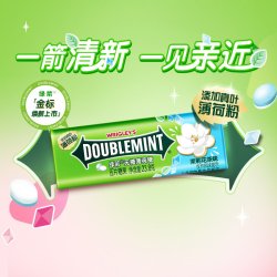 绿箭无糖薄荷糖果茉莉花茶味约35粒23.8g铁盒装休闲零食便携 7.51元 - 美泡泡