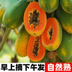 现摘树上熟海南红心木瓜牛奶木瓜试吃装2斤 6.8元 - 86线报