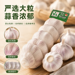 金乡大蒜 紫皮干蒜 5-5.5cm 3条装净重660g+ - 线报酷