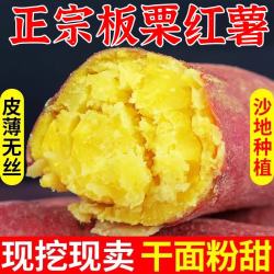 粤迎板栗红薯5斤装 15.9元 - 86线报