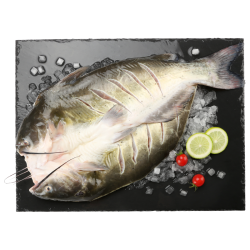 钓鱼记叉尾鮰鱼500g-650g 23.90元 - 86线报