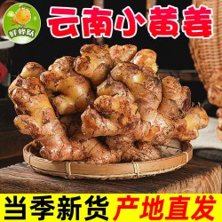 鲜蜂队云南小黄姜姜块带泥土发货生姜3斤 12.8元 - 86线报