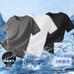 京喜2026夏季冰丝短袖t恤男装短袖网眼白色4XL 5元 - 86线报