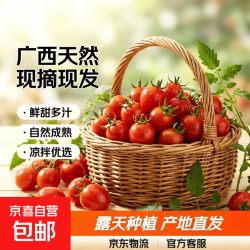 广西圣女果樱桃小番茄2斤带箱1.8斤净重 4.89元 - 86线报