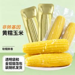 王老宝东北糯玉米黄糯10支包装随机单支220g以上 14.9元 - 86线报