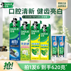 好来 超白茶倍健双重薄荷牙膏组合套装620g+牙膏40g*2 - 线报酷