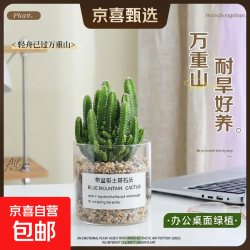 多肉植物仙人掌盆栽小盆栽开花可爱桌面万重山绿植万重山+玻璃盆+黄金砂+营养土含盆 6.99元 - 86线报