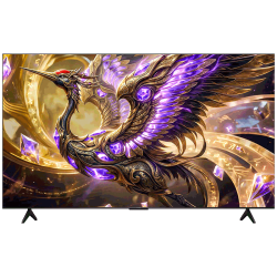 雷鸟鹤6Plus 26系列65R69A 2716.62元 - 86线报
