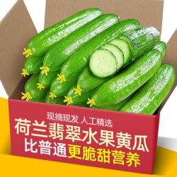 果乡趣现摘水果小黄瓜5斤 6.9元 - 线报酷