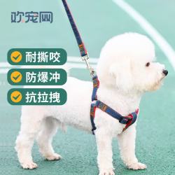 欢宠网双层加厚宠物牵引绳S码 13.8元 - 86线报