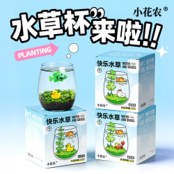 小花农水培植物套装+小鱼+小黄鸭 12.9元 - 线报酷