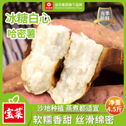 佳农京百味烟薯25号单果150g起4.5-5斤装红薯 12.8元 - 线报酷