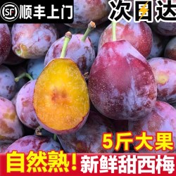 果天赐西梅鲜果5斤16-25g 15.8元 - 86线报