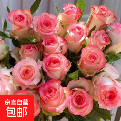 Aisha艾莎玫瑰鲜花18支+2支 8.8元 - 86线报