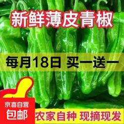 薄皮苏椒芜湖椒超薄皮微微辣鲜脆青椒彩椒新鲜绿尖椒2斤 0.99元 - 线报酷