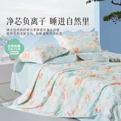 百丽丝水星家纺出品百丽丝A类可水洗夏凉被夏被空调被夏季被芯漫雅花朝150cm*200cm 49元 - 86线报