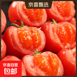 云南高原生态水果番茄西红柿荒山坡地自然熟现摘番茄新鲜孕妇蔬菜高原生态 10.9元 - 86线报