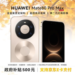 华为Mate80ProMax手机16GB+1TB极昼金 7379.1元 - 清风线报