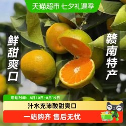 淘天然正宗江西寻乌蜜桔青橘3斤 14.04元 - 86线报