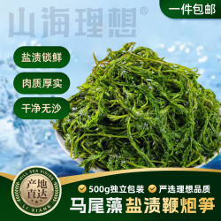 山海理想 盐渍鞭炮笋500g 马尾藻麻辣烫火锅卤味凉拌 霞浦源头直发包邮 - 86线报