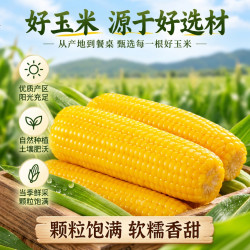 黄六爷东北黄糯玉米10根装 16.8元 - 86线报