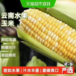 京运达云南金银水果玉米应当季新鲜蔬菜甜棒子包谷带皮生吃粘糯苞谷整箱 10.26元 - 86线报