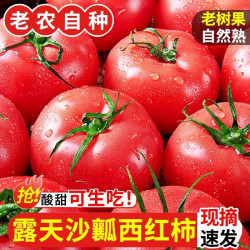 蹊蹊的小菜园新鲜沙瓤西红柿正宗云南露天水果番茄现摘自然熟生吃蔬菜包邮 4.5斤【大果】 11.39元 - 86线报