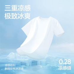 网易严选25春夏升级220g重磅棉-5℃凉感T恤5A抗菌棉短袖小白T宽松男女本白色-三重凉感S - 86线报
