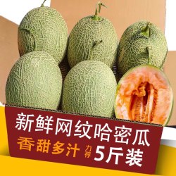 菁口乐冰淇淋网纹蜜瓜整箱新鲜水果当季哈密瓜玫珑海阳蜜瓜甜瓜包邮净含量3斤试吃尝鲜 - 线报酷 菁口乐冰淇淋网纹蜜瓜整箱新鲜水果当季哈密瓜玫珑海阳蜜瓜甜瓜包邮净含量3斤试吃尝鲜 - 线报酷