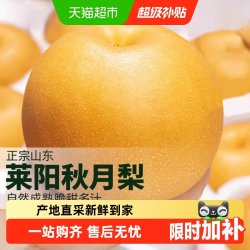 裕鲜生山东烟台莱阳秋月梨当季冰糖大果3斤装 12.93元 - 86线报