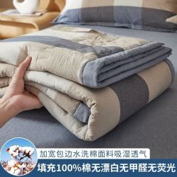 AIDLI A类100%新疆纯棉花可水洗夏凉被150*200cm 68元 - 86线报