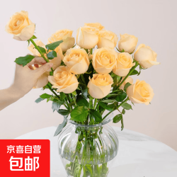 玫瑰鲜花10支基地直发云南鲜花玫瑰花束10朵随机色 9.9元 - 86线报