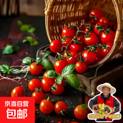 云南高山小番茄圣女果轻食低卡新鲜水果小西红柿圣女果带箱3斤 7.79元 - 86线报