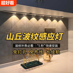 以典猫眼波纹灯条20CM黑色常亮+人体感应 4种模式 20元 - 86线报